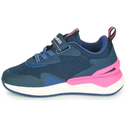 Kangaroos - KD-GYM EV