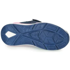 Kangaroos - KD-GYM EV
