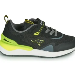 Kangaroos - KD-GYM EV