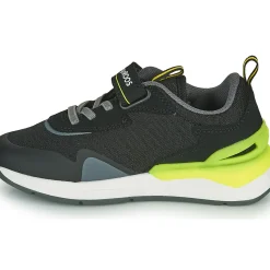 Kangaroos - KD-GYM EV