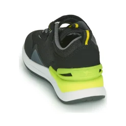 Kangaroos - KD-GYM EV