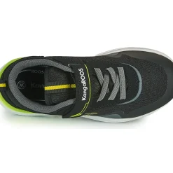 Kangaroos - KD-GYM EV