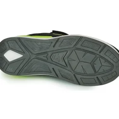 Kangaroos - KD-GYM EV