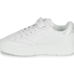 Kangaroos - K-GK Ready EV