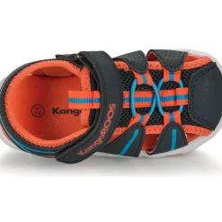 Kangaroos - K-GROBI