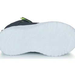 Kangaroos - KI-ROCK LITE EV