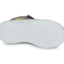 Kangaroos - KI-SPEEDLITE EV