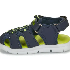 Kangaroos - K-MINI