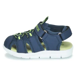Kangaroos - K-MINI