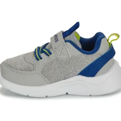 Kangaroos - K-NY Chip EV