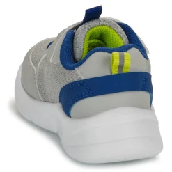 Kangaroos - K-NY Chip EV
