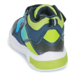 Kangaroos - K-SLB Clave Mid EV
