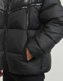 Kaporal - BIVY