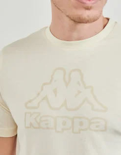 Kappa - CREEMY