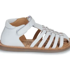 Kickers - KICK DILOLA