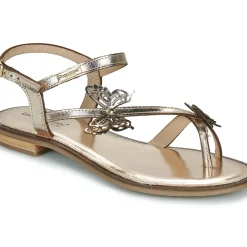 Les Tropéziennes par M Belarbi - HESPERI