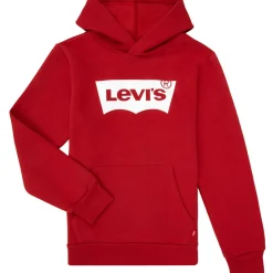 Levi's - BATWING SCREENPRINT HOODIE