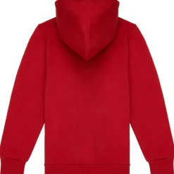 Levi's - BATWING SCREENPRINT HOODIE