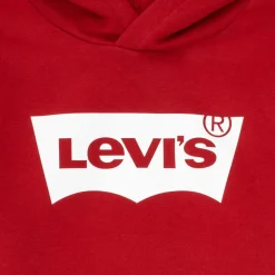 Levi's - BATWING SCREENPRINT HOODIE