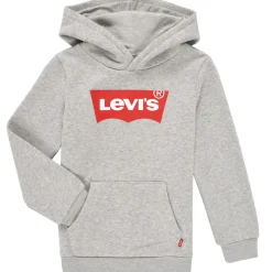 Levi's - BATWING SCREENPRINT HOODIE