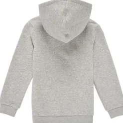 Levi's - BATWING SCREENPRINT HOODIE