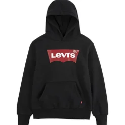 Levi's - BATWING SCREENPRINT HOODIE