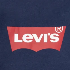 Levi's - BATWING SCREENPRINT HOODIE