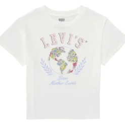 Levi's - EARTH OVERSIZED TEE