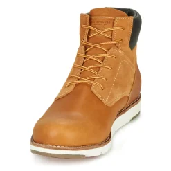 Levi's - JAX PLUS