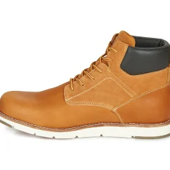 Levi's - JAX PLUS