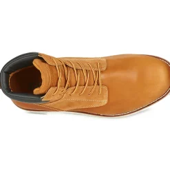 Levi's - JAX PLUS