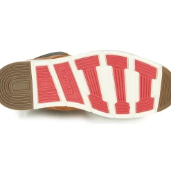 Levi's - JAX PLUS