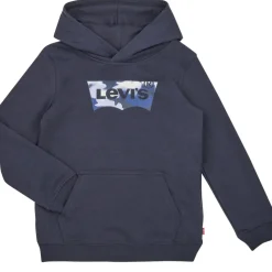 Levi's - LVB BATWING FILL HOODIE