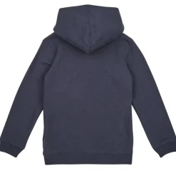 Levi's - LVB BATWING FILL HOODIE