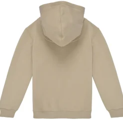 Levi's - LVB MINI BATWING HOODIE