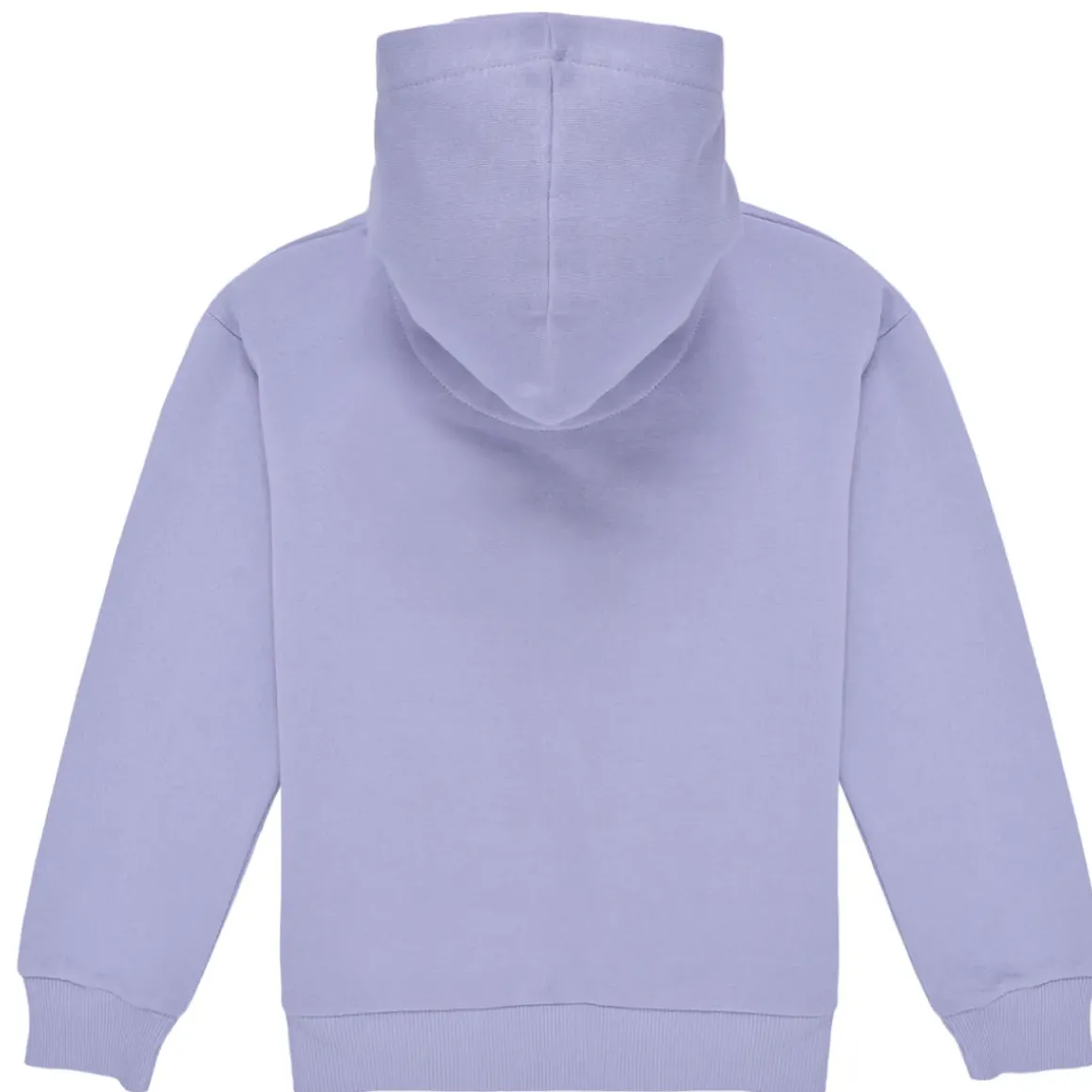 Levi's - LVG-BATWING CHEST HIT HOODIE