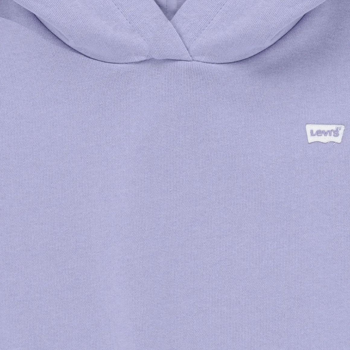 Levi's - LVG-BATWING CHEST HIT HOODIE