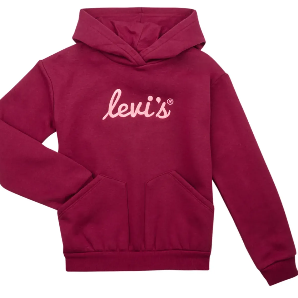 Levi's - LVG POSTER LOGO HOODIE