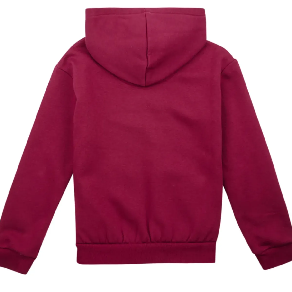 Levi's - LVG POSTER LOGO HOODIE