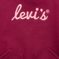 Levi's - LVG POSTER LOGO HOODIE