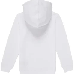 Levi's - PALM BATWING FILL HOODIE