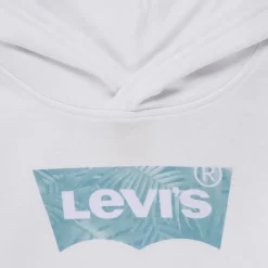 Levi's - PALM BATWING FILL HOODIE