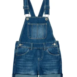 Levi's - RAILROAD STRIPE SHORTALL