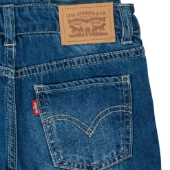 Levi's - RAILROAD STRIPE SHORTALL