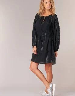Maison Scotch - DRAGUO