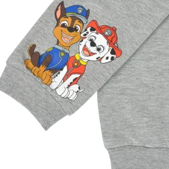 Name it - NMMJOSHU PAW PATROL