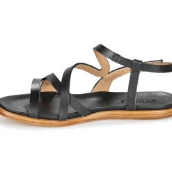 Neosens - AURORA