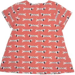 Noukie's - KENZO