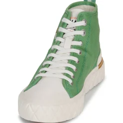 Palladium - PALLA ACE CHUKKA ORG