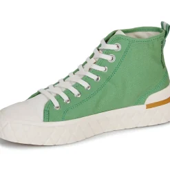 Palladium - PALLA ACE CHUKKA ORG